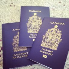 Canadian Passport ,Driver Licence AND ID CARD